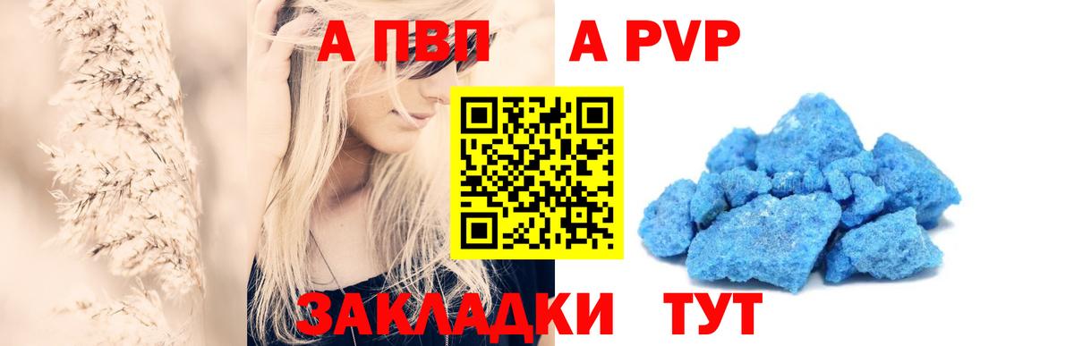 A PVP СК Кузнецк