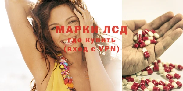 гашик Белокуриха