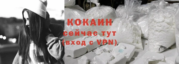 гашик Белокуриха