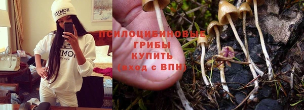 гашик Белокуриха