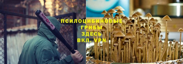 гашик Белокуриха