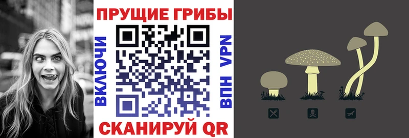 blacksprut ССЫЛКА  Кузнецк  Псилоцибиновые грибы MAGIC MUSHROOMS  купить закладку 