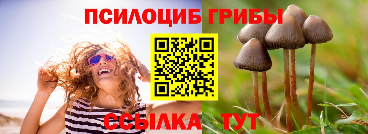 Псилоцибиновые грибы Psilocybine cubensis  Галлюциногенные грибы Psilocybine cubensis  Кузнецк  Вход с VPN 