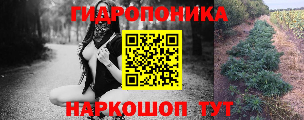 Бошки Шишки семена  Конопля Amnesia  Вход с VPN  Кузнецк  Каннабис сатива  Марихуана Ganja 